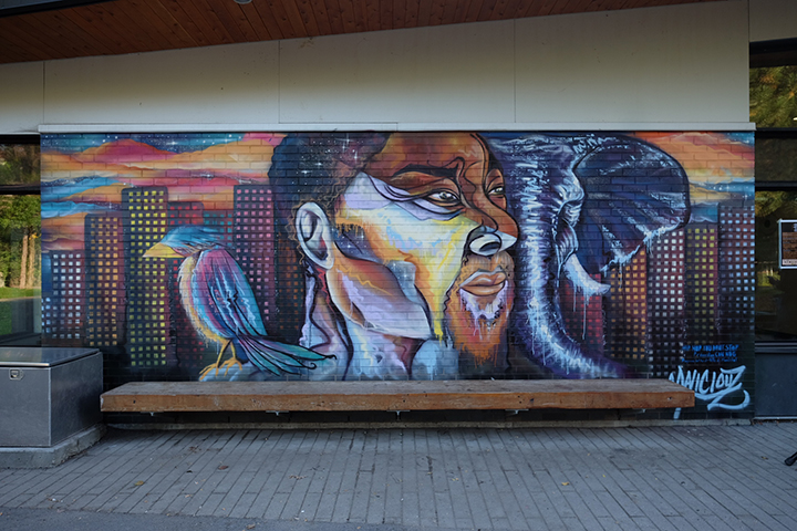 Murale située au Parc Nelson Mandela,4920 Rue Vézina